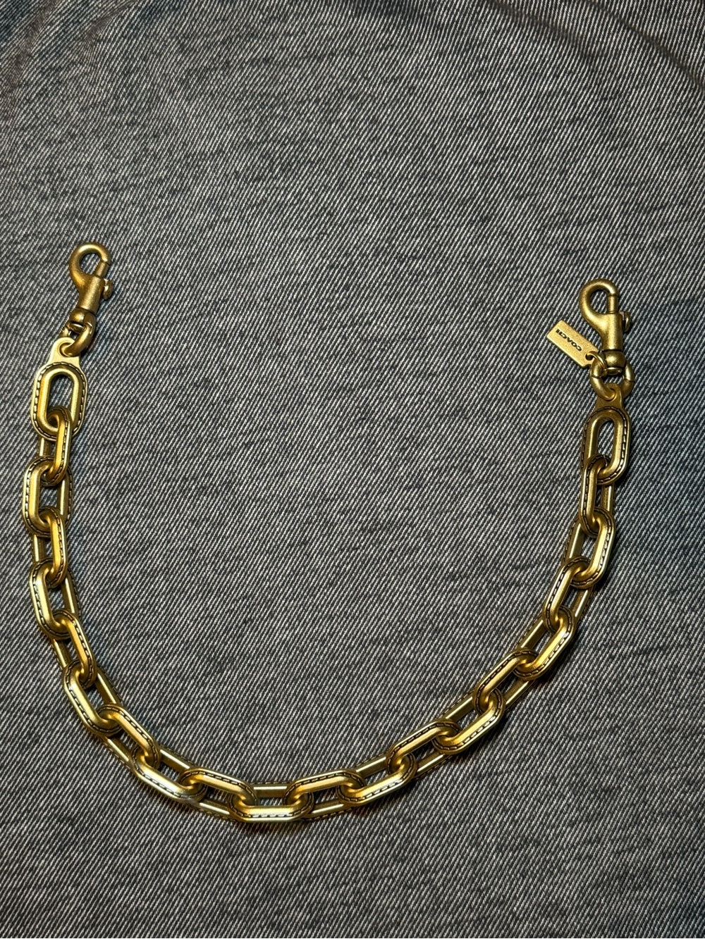 Coach Link Chain Strap
